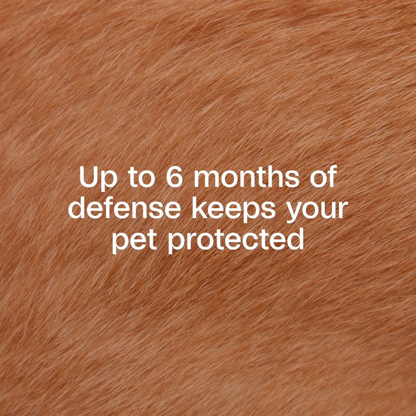 Flea & Tick Collar for Dogs & Puppies, Flea Collar for 12 Month Prevention, Kills Fleas, Ticks & Repels Mosquitoes, excluding California, One Size Fits All Dogs & Puppies, 2 Count