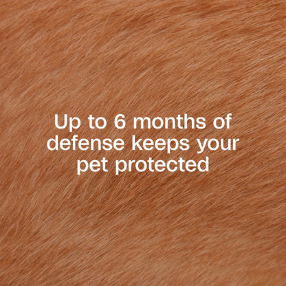 Flea & Tick Collar for Dogs & Puppies, Flea Collar for 12 Month Prevention, Kills Fleas, Ticks & Repels Mosquitoes, excluding California, One Size Fits All Dogs & Puppies, 2 Count